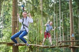 Image result for Go Ape! Thetford