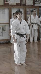 Image result for Harrow Shorinji Kempo