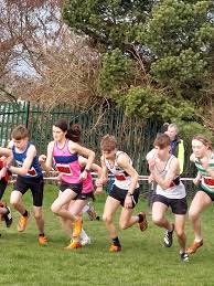 Image result for Birtley Athletics Club