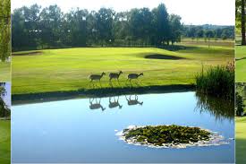 Image result for Belton Park Golf Club