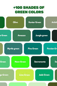 Znalezione obrazy dla zapytania green