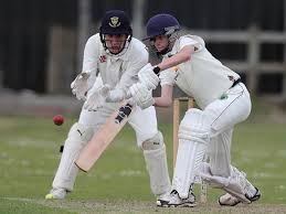 Image result for Ivybridge Cricket Club