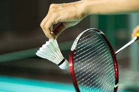 Image result for Ilfracombe Badminton Club