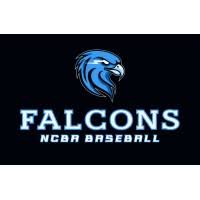 Image result for Falcons Badminton Club