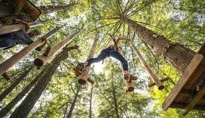 Image result for Extreme Adventures Parkour Club