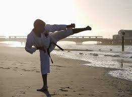 Image result for ZOKU SHOTOKAN KARATE (Baldock)