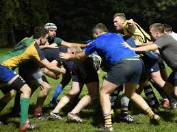 Image result for Bingham Rugby Union Football Club