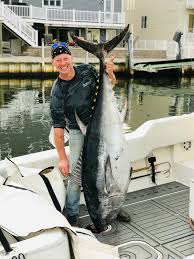 Image result for giant tuna