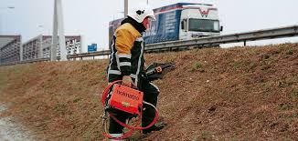 Image result for holmac tehron