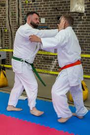Image result for Ryusui-ryu Martial Arts School East Grinstead