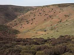 Image result for Long Mynd
