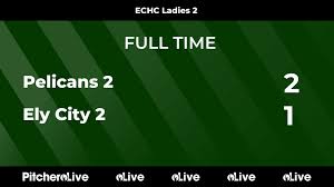 Image result for City Of Ely Roller Hockey Club