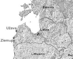 Attēlu rezultāti vaicājumam “Populus x lettland”