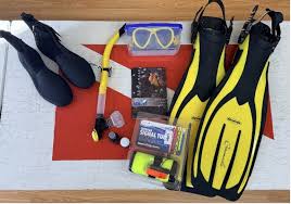 Image result for 3D Diving Club