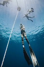 Image result for Blue Water Freediving School