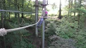 Image result for Go Ape! Grizedale