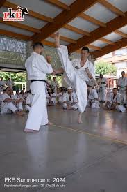 Image result for Konjaku Shin National School Of Karate, Lincolnshire