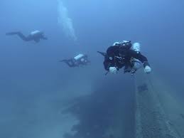 Image result for Stortford Divers