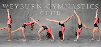 Image result for Weybridge Gymnastics