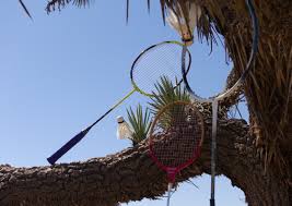 Image result for Elworth Badminton Club