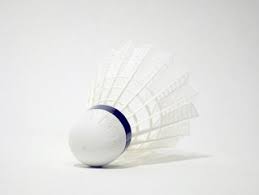 Image result for Addison Badminton Club