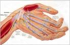 <b>Guillain Barre Syndrome</b>