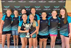 Image result for Kingfishers Netball Club