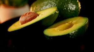 Attēlu rezultāti vaicājumam “Syringa vulgaris fruit”