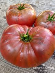 Afbeeldingsresultaat voor caspian pink tomato