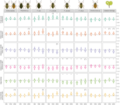 Attēlu rezultāti vaicājumam “Protapion sp.”