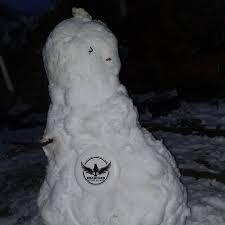 Image result for Bradford University Disciples Ultimate Frisbee Club