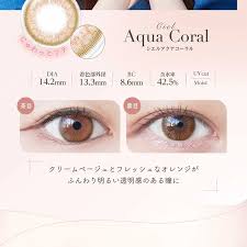 「ネオサイトワンデーシエル」の画像検索結果