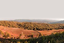 Image result for geografs sense fronteres