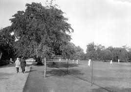 Image result for Leamington Tennis Court Club