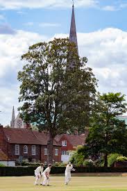 Image result for Chichester Priory Park Cc