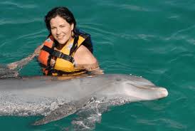 Image result for Adventure Dolphin