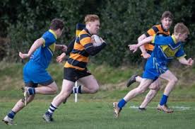 Image result for Newton - Le - Willows A R L F C