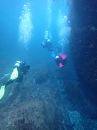 Image result for Wyndley NSC Snorkelling Club
