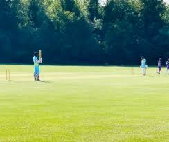 Image result for Swyncombe Cricket Club