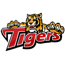 Image result for Glasgow Tigers Flag Football