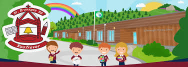 Image result for St Bronagh`s Gaa