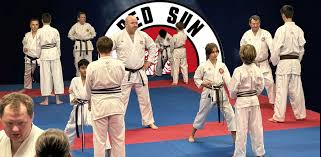 Image result for Redhill Karate Association