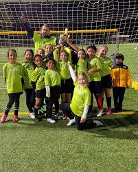 Image result for Lyndhurst Football Club