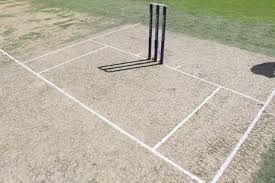 Image result for Long Whatton Cricket Club