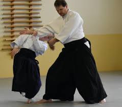 Image result for Fudokai Aikido Dojo