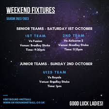 Image result for Airborne Ladies Netball Club