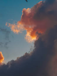 Image result for iphone camera propeller