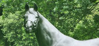 Image result for Bletchingly Badminton Club