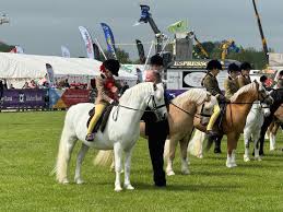 Image result for Annandale Equestrian Centre