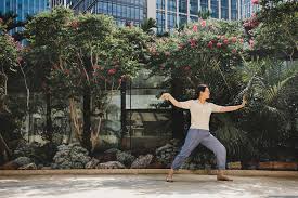Image result for Tai Chi for Health